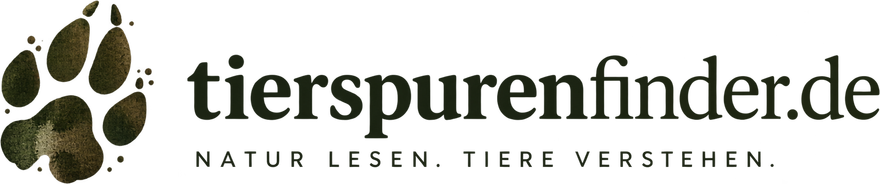 tierspurenfinder.de. Natur lesen. Tiere verstehen.